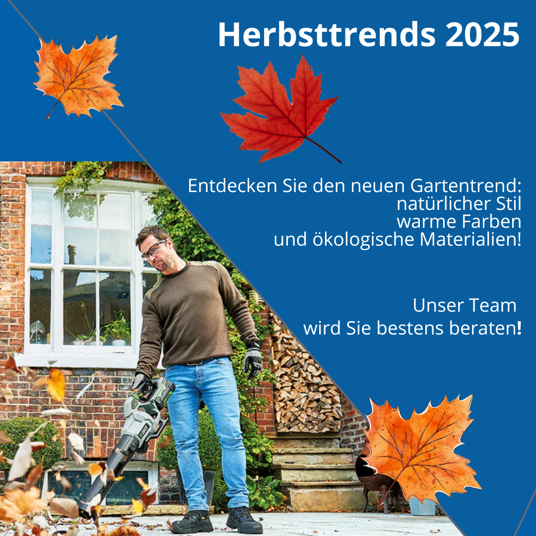 offerte primavera 2025